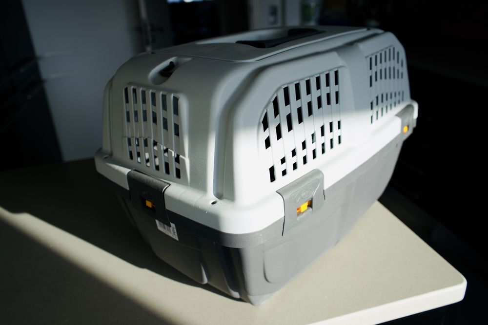 Nova caixa para animais