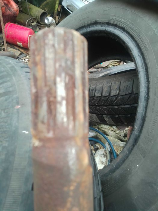 półośka żuk nysa tarpan