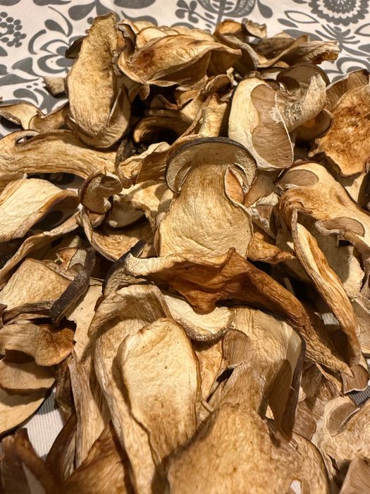 Prawdziwki suszone 2025