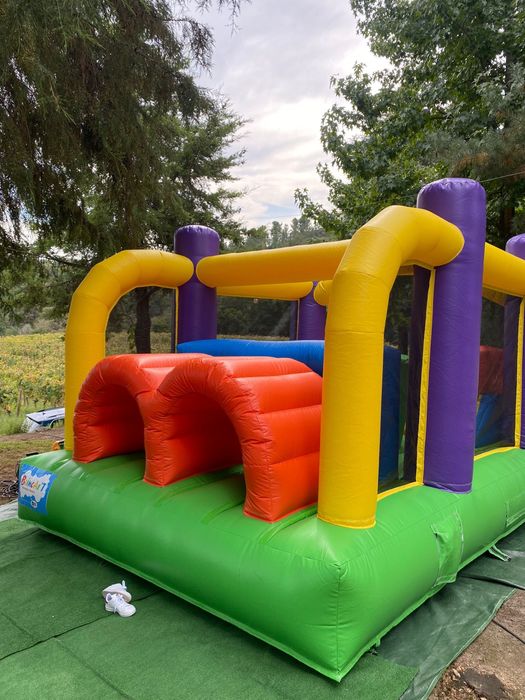 Insuflavel profissional novo