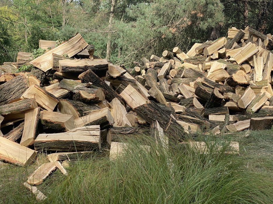 Продам дрова Акація рубана.