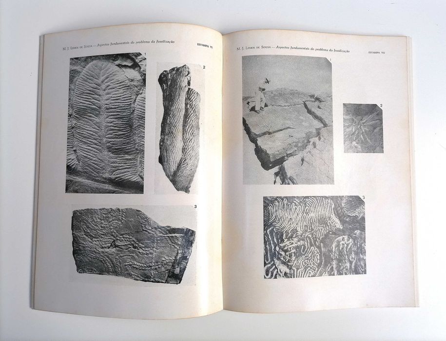 Livro Naturália N.º 27 de 1973