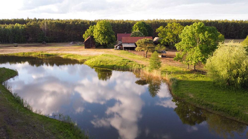 Agroturystyka nad stawem