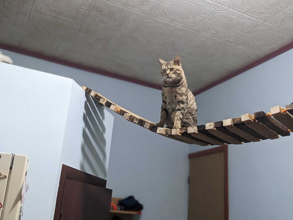 Підвісний  мостик для кота | Кігтеточка | Іграшка для кота | ДляТварин