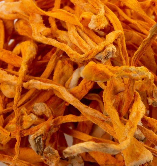 100 Грм -400 грн.
Ежовик гребенчатый гериций и другие грибы