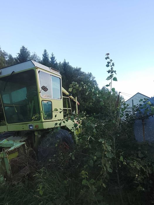 Sieczkarnia Claas do kukurydzy