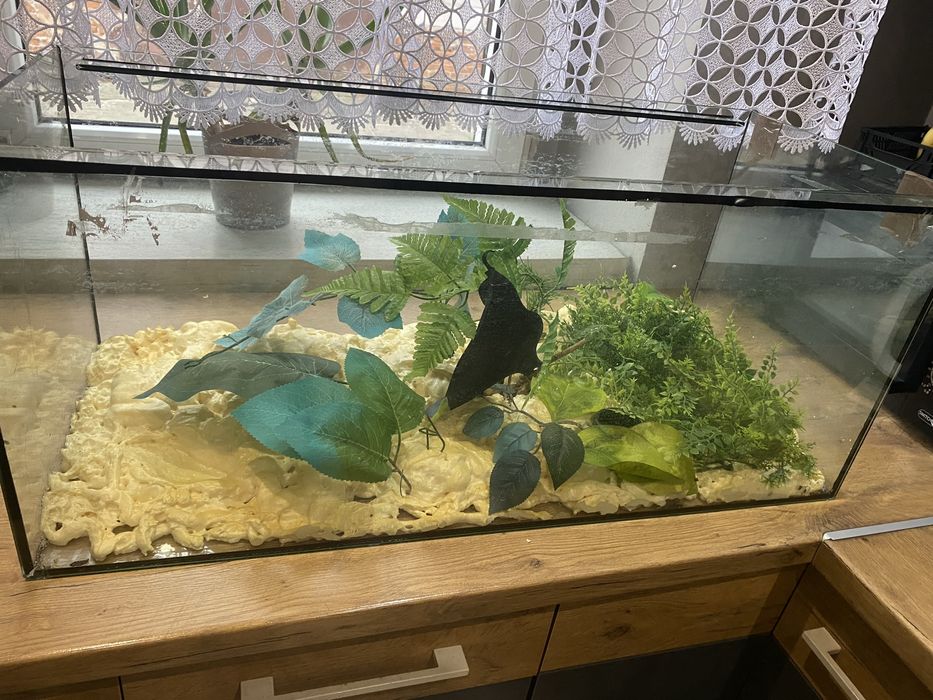 Terrarium (moze stać i leżeć  nie ma zasuwania)