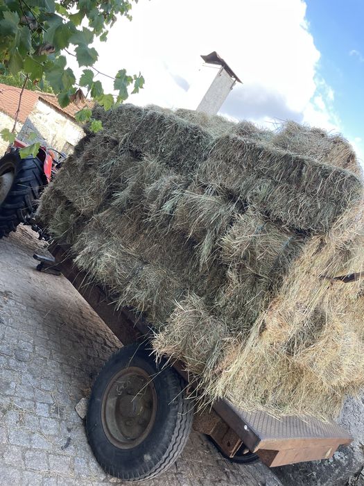 Vendo feno deste ano muto boa qualidade