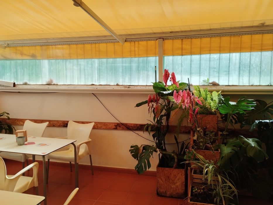 Trespasse Carcavelos