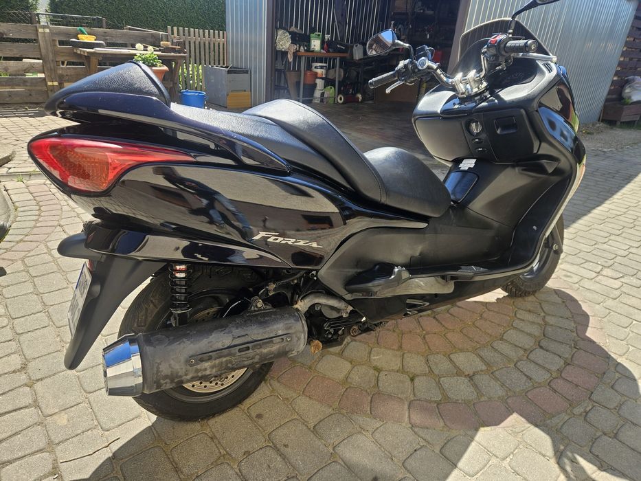 Honda forza 250 automat 2005r.