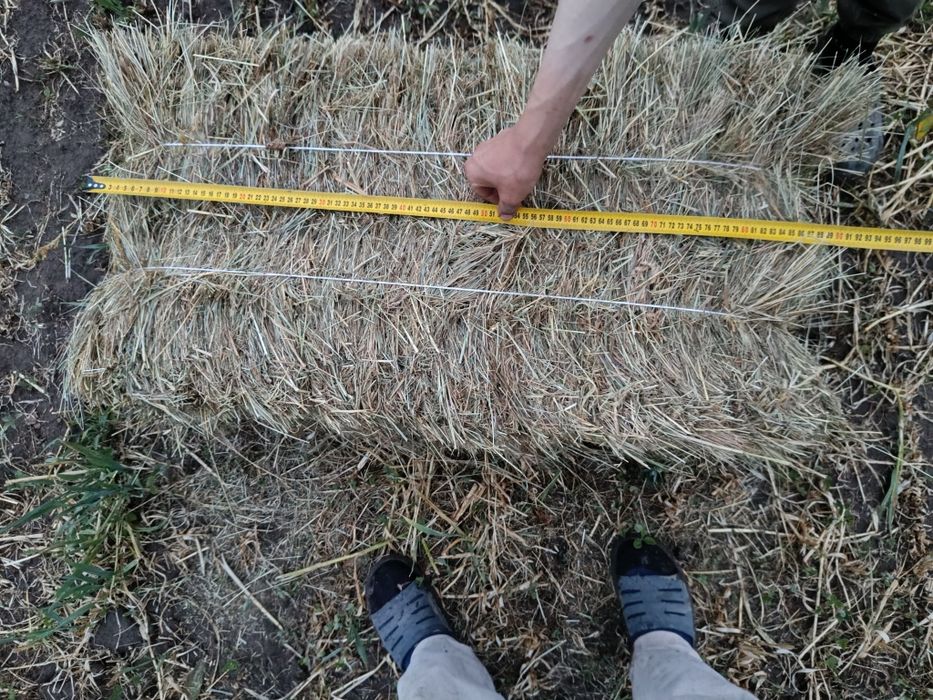 Продам Сіно в тюках