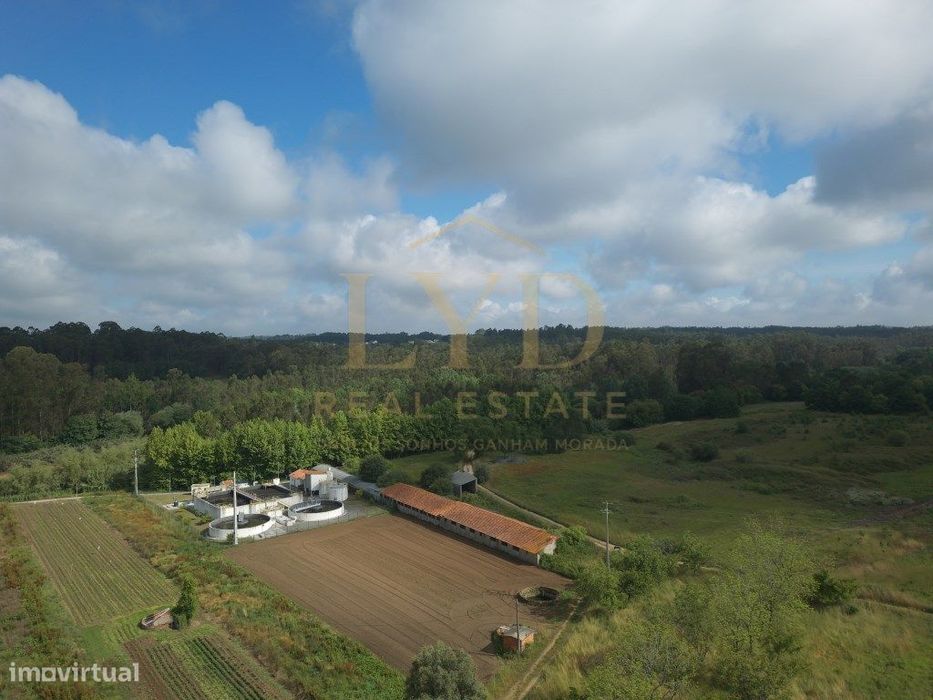 Armazém para venda em Amoreira da Gândara, Anadia | Antigos aviário...
