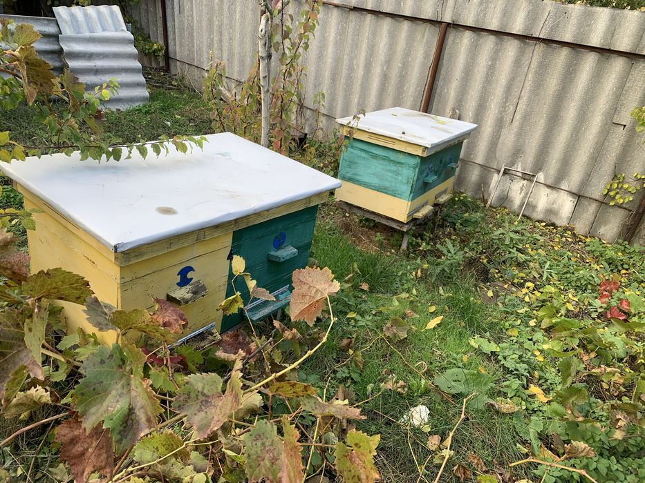 Вулик лежак 20 рамочний