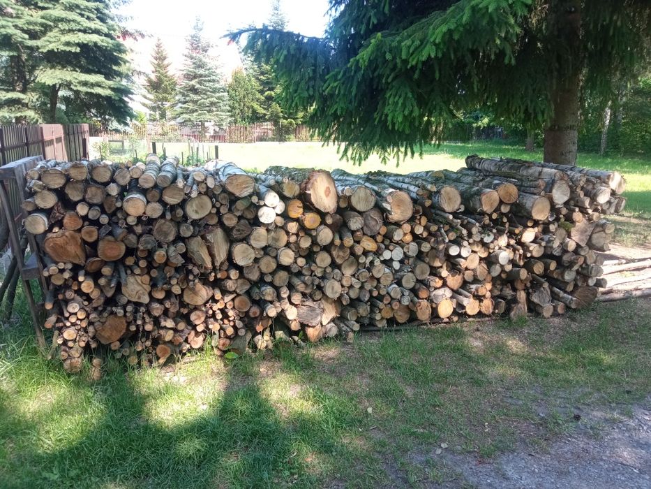 Drewno opałowe i kominkowe liściaste :brzoza, czeremcha, osika