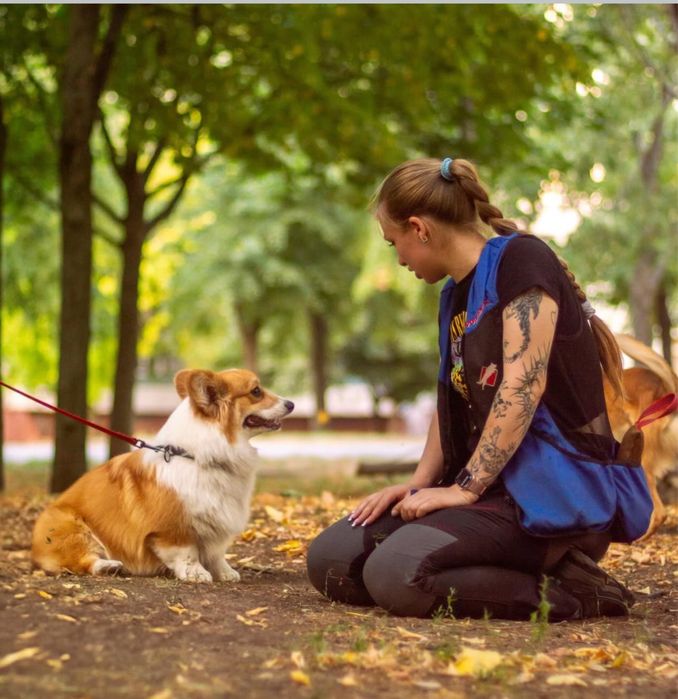 Індивідуальне перевезення тварин від  кінолога