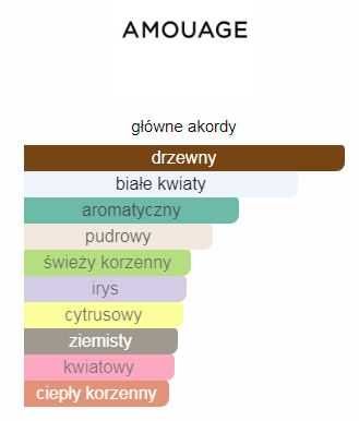 Amouage  Reflection Men woda perfumowana  100ml
