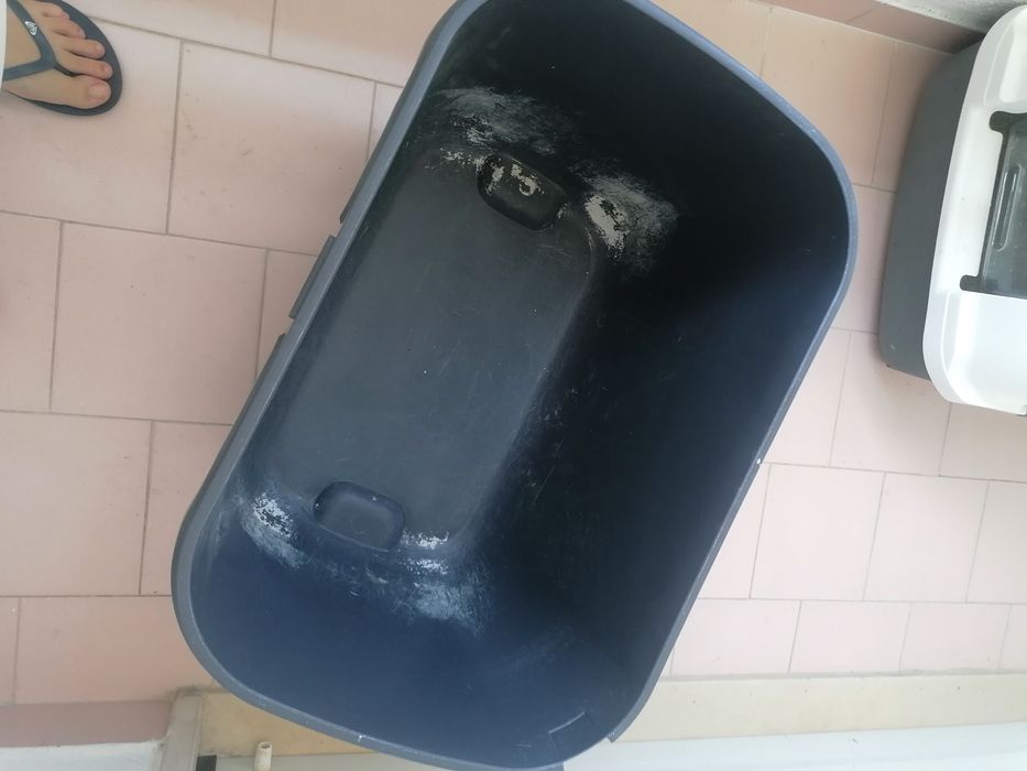 Caixa areia gato