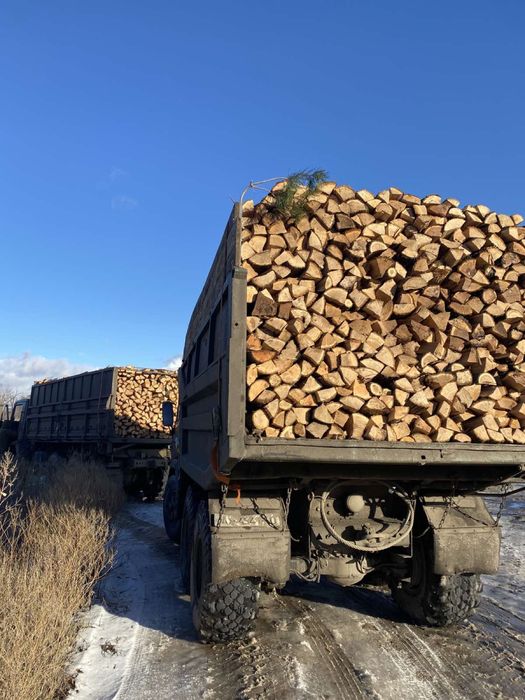 Дрова дубові  по оптовим цінам