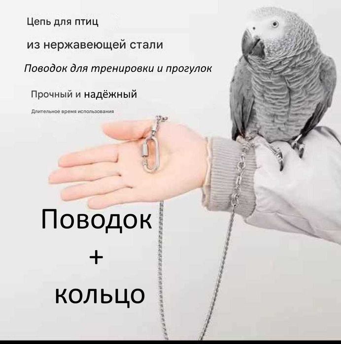 Аксессуары для пернатых любимцев