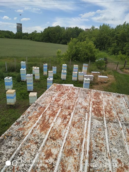 Продам мед , мёд... ЕКО