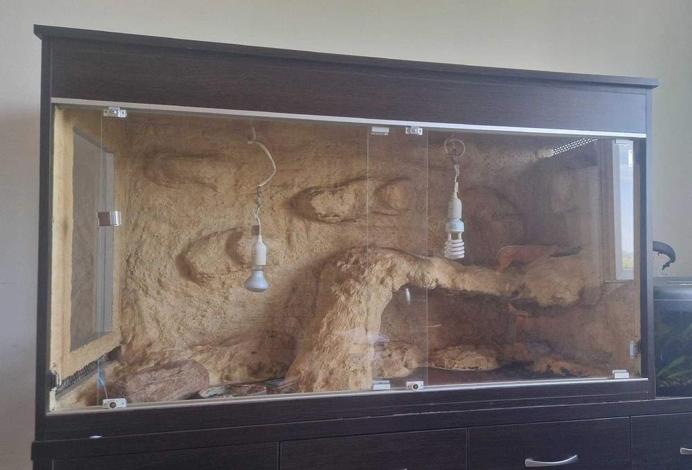 Duże terrarium pustynne 140 × 55 × 80 cm – ścianka 3D, gotowe do aranżacji