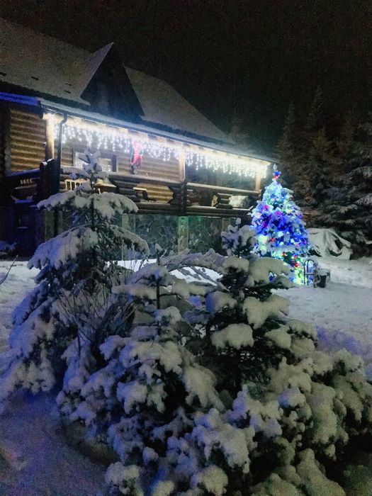 Затишний котедж для відпочинку біля самого лісу на 6+2 гостей