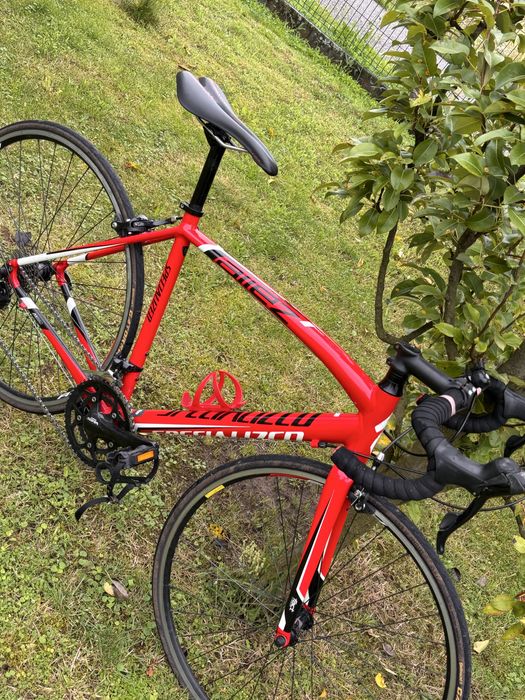 Specialized allez prosto po serwisie!