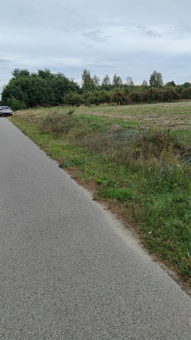 Zdjęcie 8