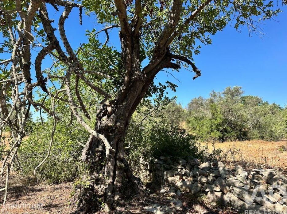 Terreno em Luz de Tavira e Santo Estêvão de 5570,00 m2