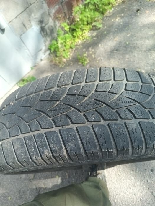 Dunlop winter sport 3D 5 215/65 r16 покрышка