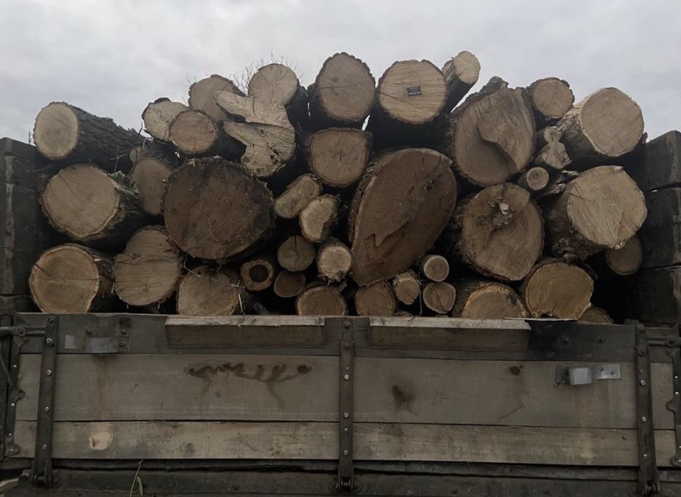 Продам рубані дрова твердих порід