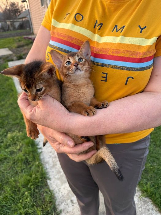 Супер ціна.Зробіть собі подарунок до свята