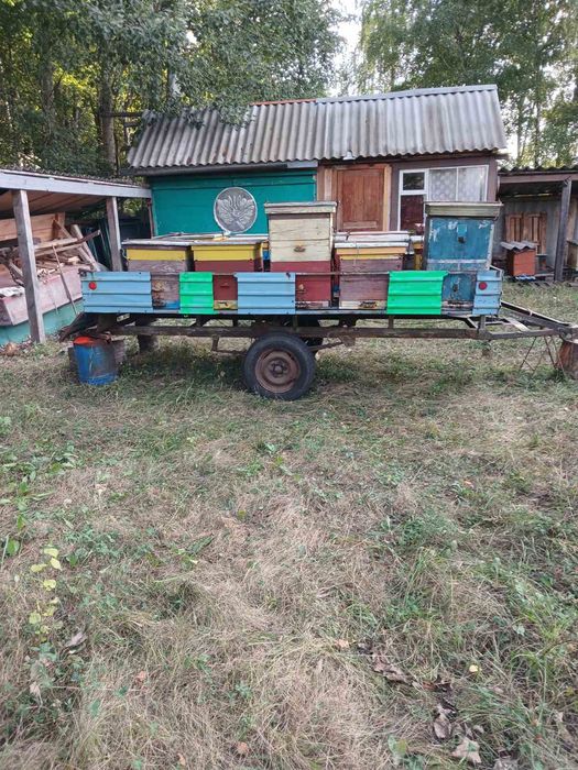 Пасіка, бджолосім'ї на причепі