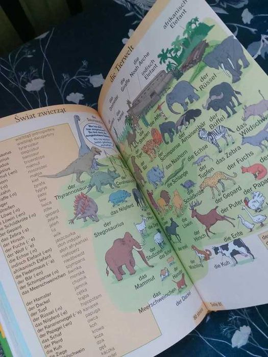 Ilustrowany słownik niemiecko-polski