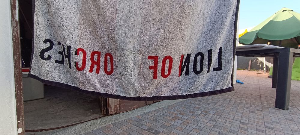 Toalha Lion of porches