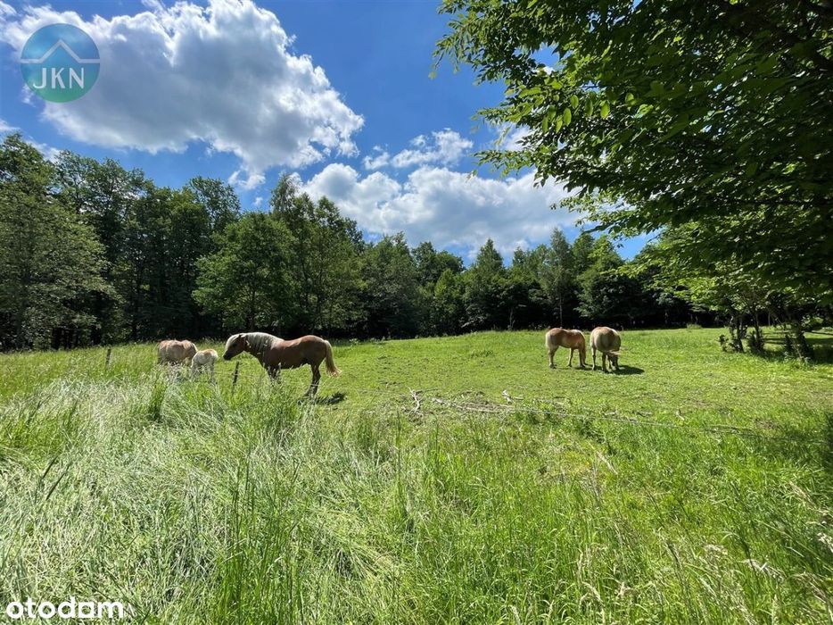 Twoje marzenie o własnym domu w pięknym miejscu