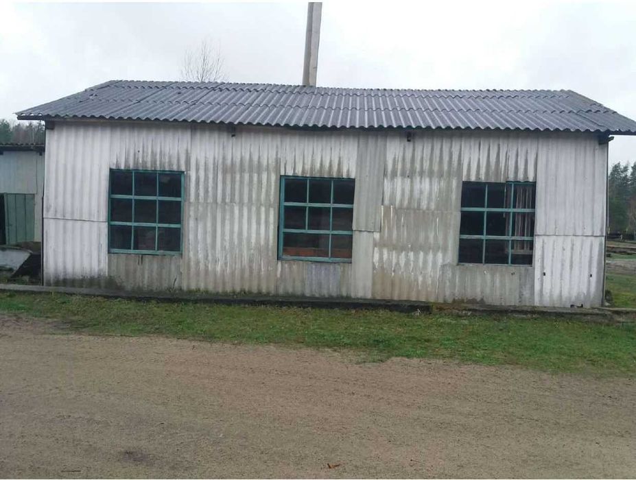 Будівлі та споруди, площею 226,70 кв.м. Чернігівська обл.