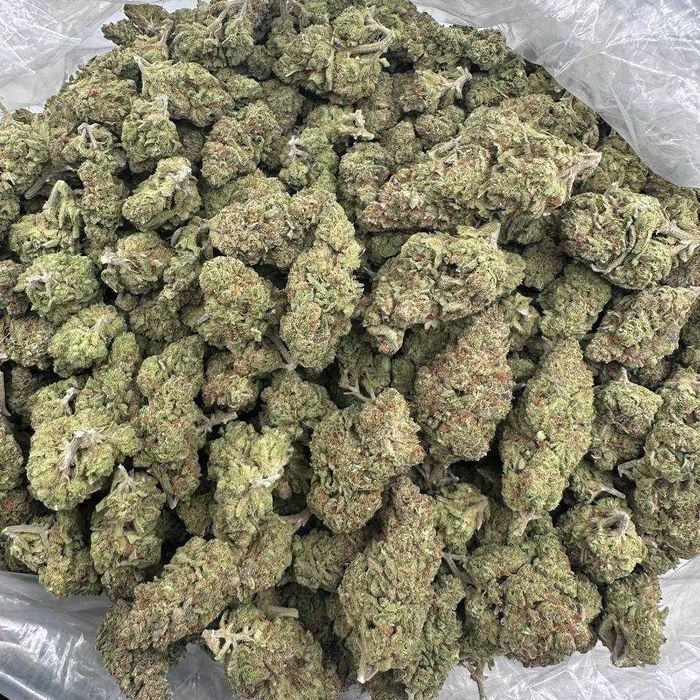 10g White Widow 22%