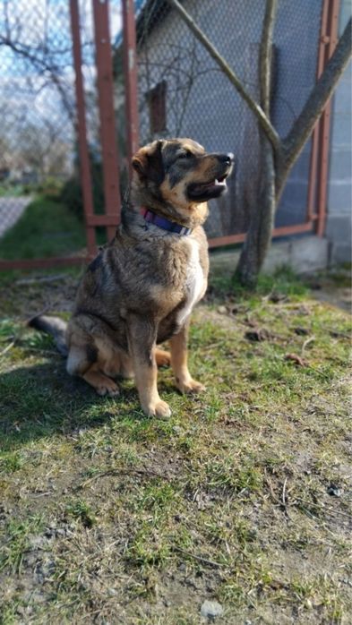 Молодий хлопчик в добрі руки