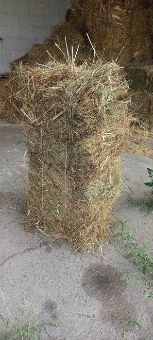 Сіно в тюках.Доставка. Оптом і в роздріб.