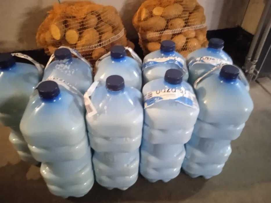 mleko świeże prosto od krowy