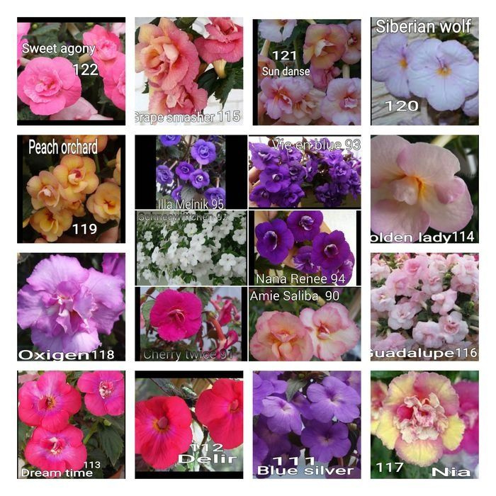 Перчатки нитриловые  ахименесы