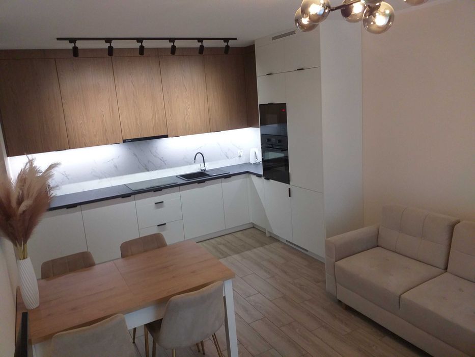 Mieszkanie Łódź ul. Pienista