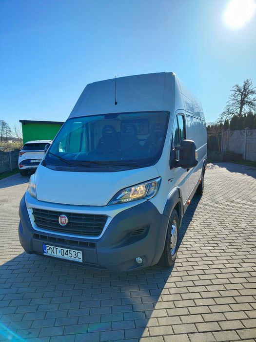 Bus na wynajem, wynajem busa, furgon, blaszak, Fiat Ducato Maxi.