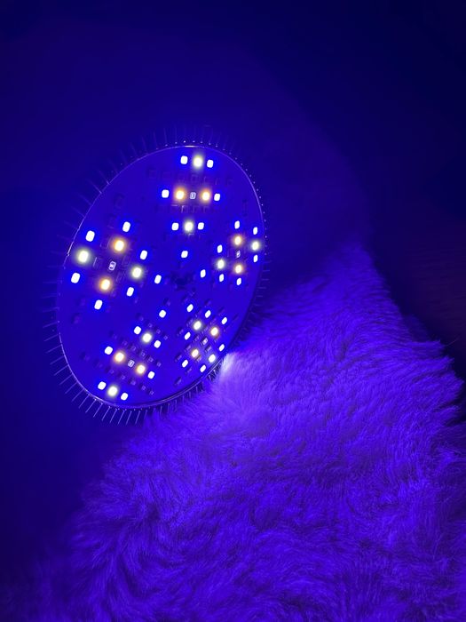 4 Lâmpadas LED Grow Light Full Spectrum PAR + 4 Cabos E27