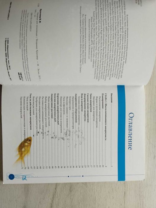 Аквариум для начинающих