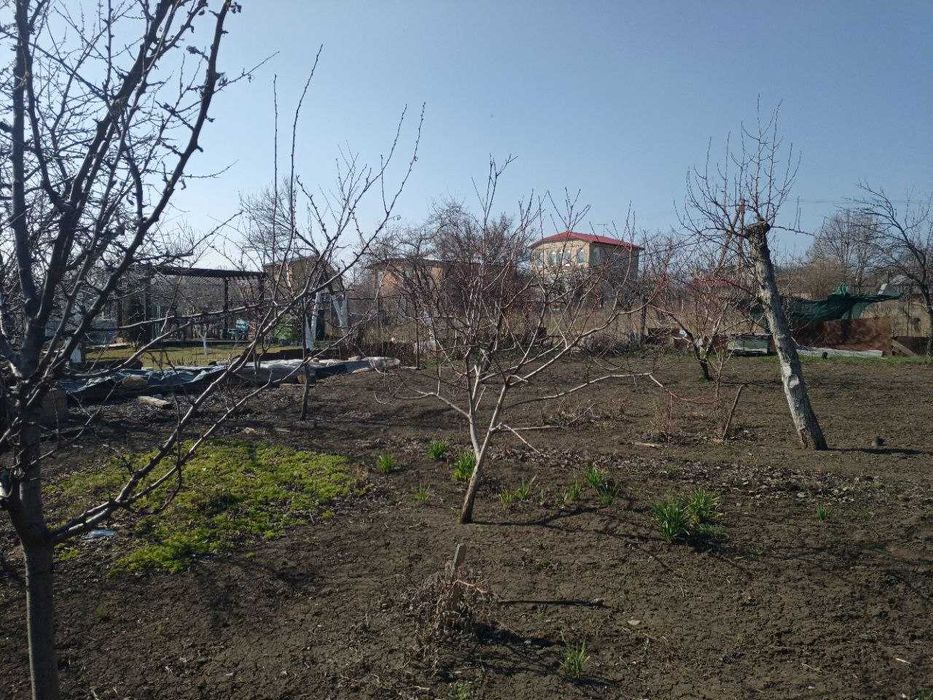 Дача возле леса Алтестово