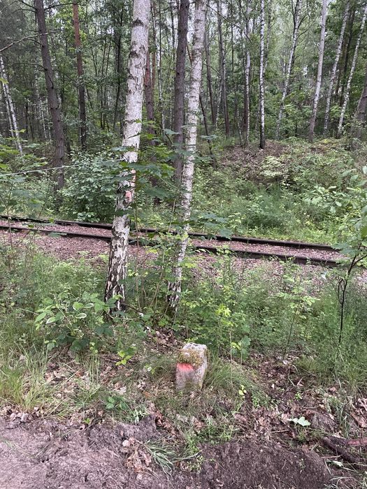 Działka budowlana 1786 m² | Ruda k. Tarczyna | MPZP | 25 min od Warszawy