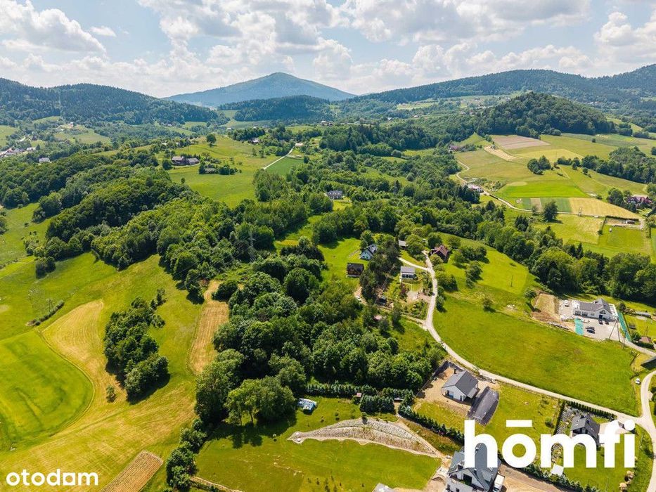 Dom całoroczny, natura | Skrzydlna | Kasina Dolna