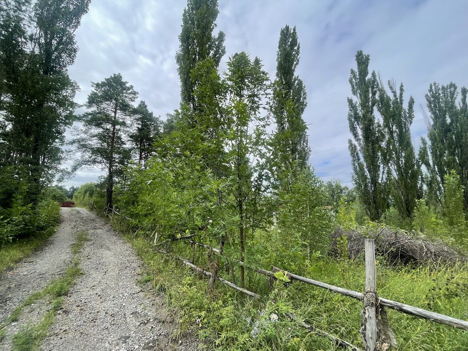 Продаж земельноі ділянки 22 сотки Віта -Поштова